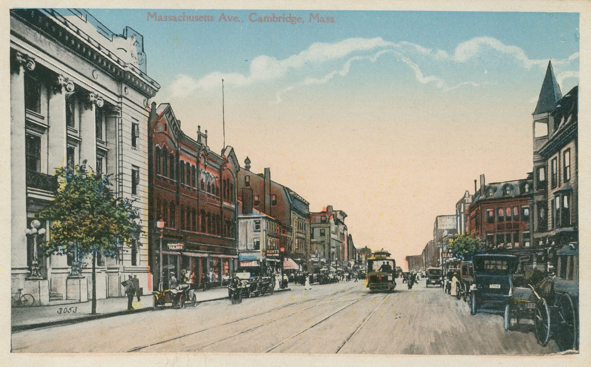 Vintage Postcard: Massachusetts Avenue in Cambridge